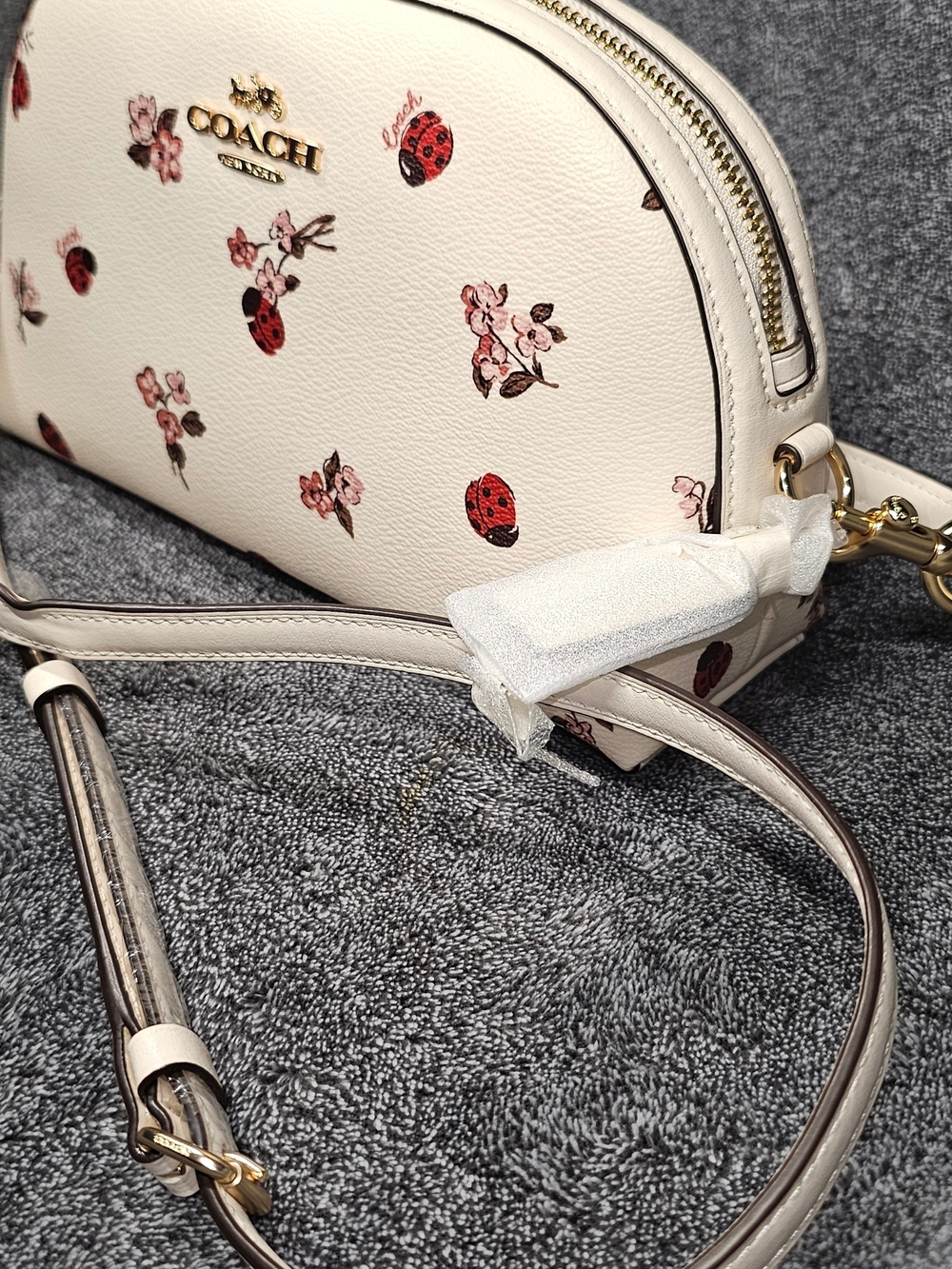 Coach White Floral & Ladybug Crossbody Bag - Picture 5 of 15